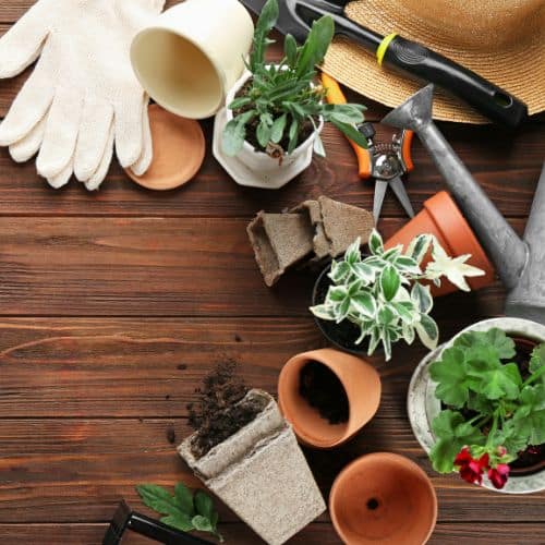 Jardinage et loisirs extérieurs