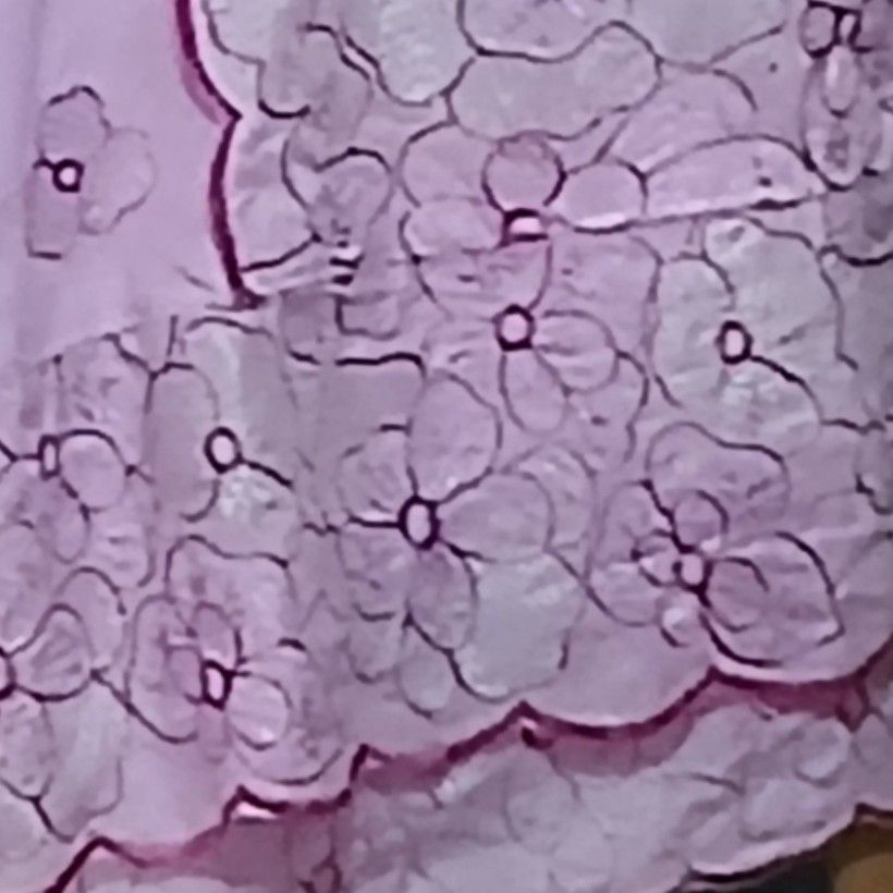 Robe brodée rose clair élégante, dentelle chic femme, soirée ou cérémonie