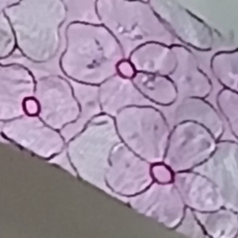 Robe brodée rose clair élégante, dentelle chic femme, soirée ou cérémonie