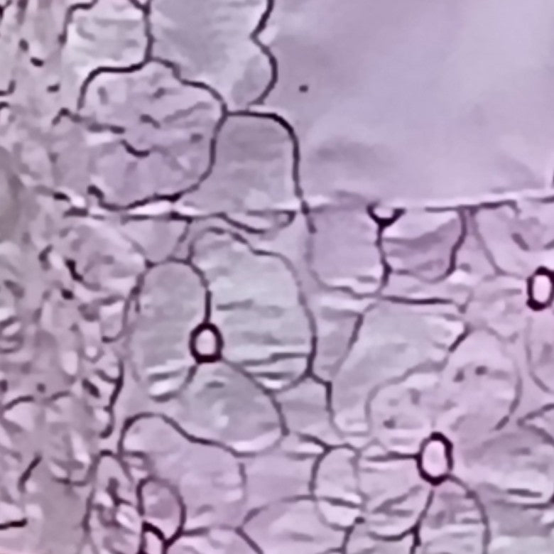 Robe brodée rose clair élégante, dentelle chic femme, soirée ou cérémonie