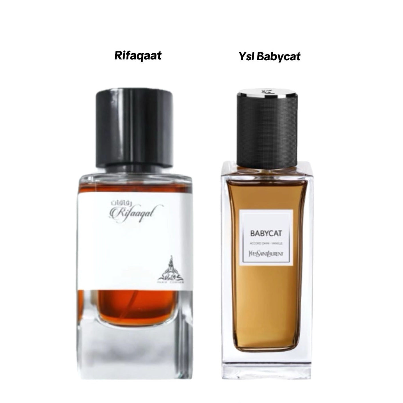 Parfum haut de gamme Rifaaqat Paris Corner – Élégance blanche ambrée