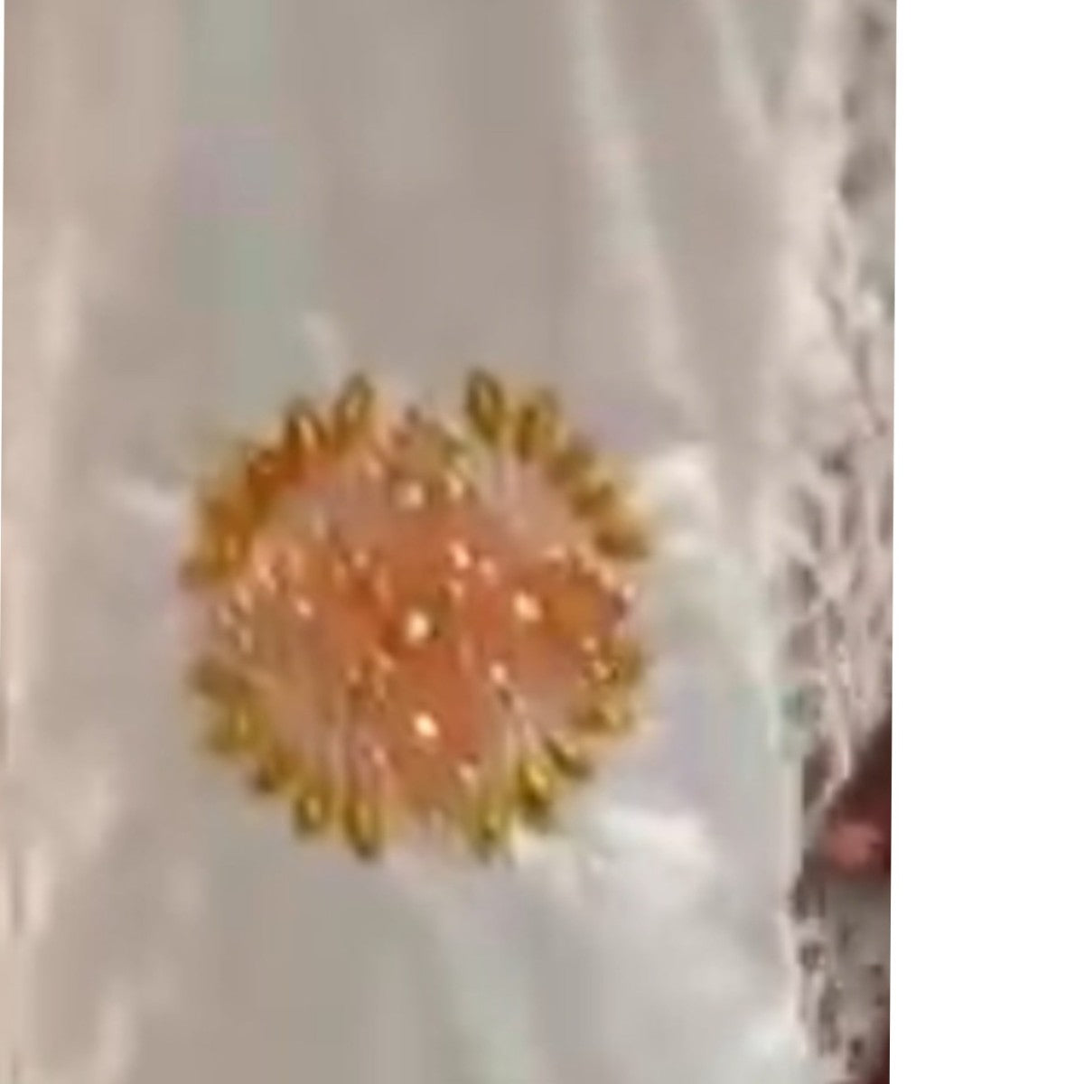 Robe femme broderie geztner élégante, longue, idéale cérémonie et mariage
