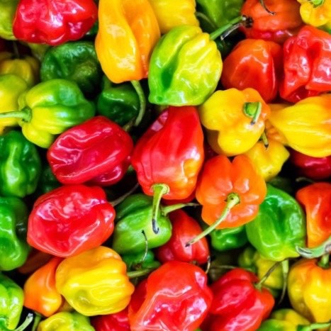 Pot de piment sénégalais 300 gr Kani Noflaye – Épices africaines authentiques