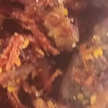 Encens oud noire 1KG – Granules parfumés luxe pour maison et bien-être