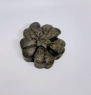 Masque capillaire solide spiruline bio – Soin cheveux bouclés naturel artisanal