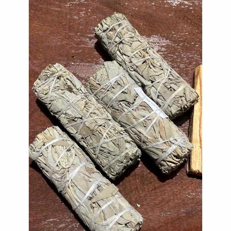 Bâton de sauge blanche californienne 10 cm pour purification et bien-être