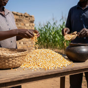 Maïs sec bio alimentaire (1 kg)