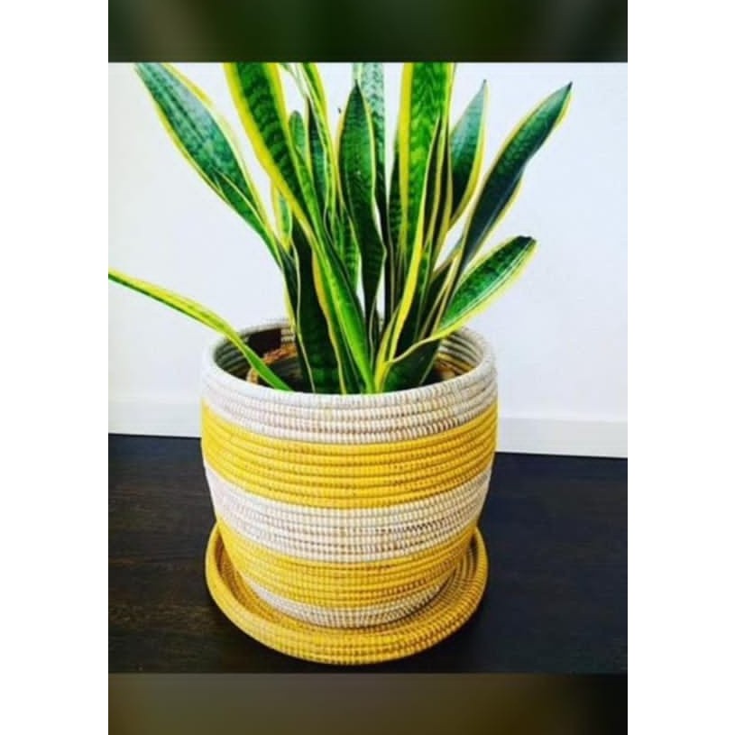 Pot de plante en panier africain jaune